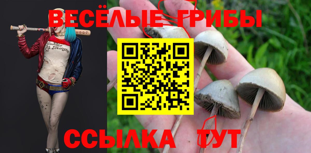 Псилоцибиновые грибы Psilocybine cubensis  Псилоцибиновые грибы ЛСД  Вход с VPN  Азнакаево 